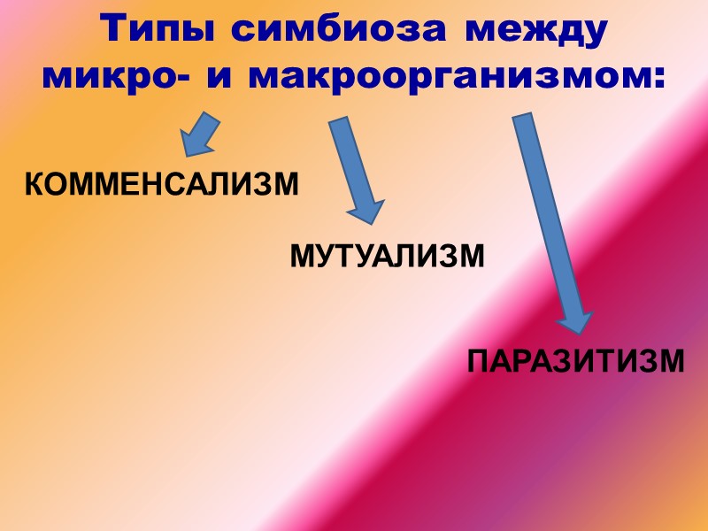 Типы симбиоза между  микро- и макроорганизмом:       